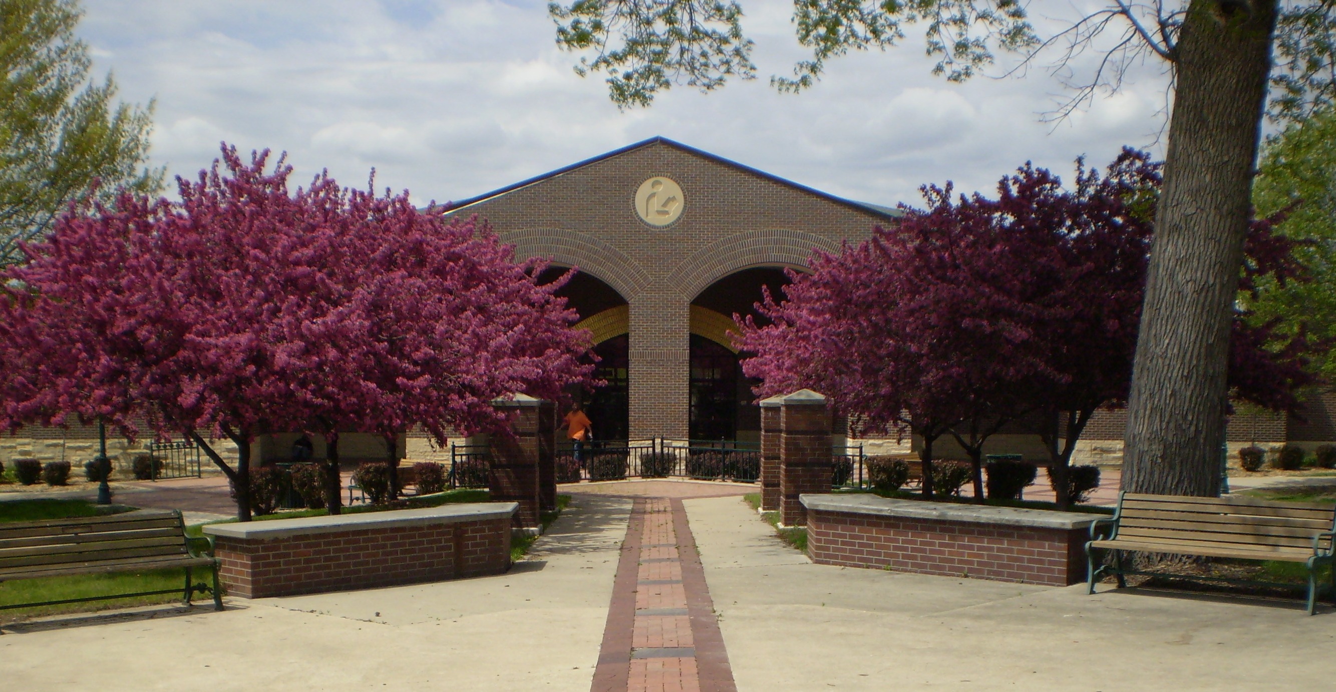 Library Front Spring